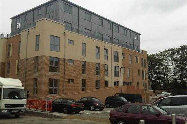 Claire Court - Picture 1