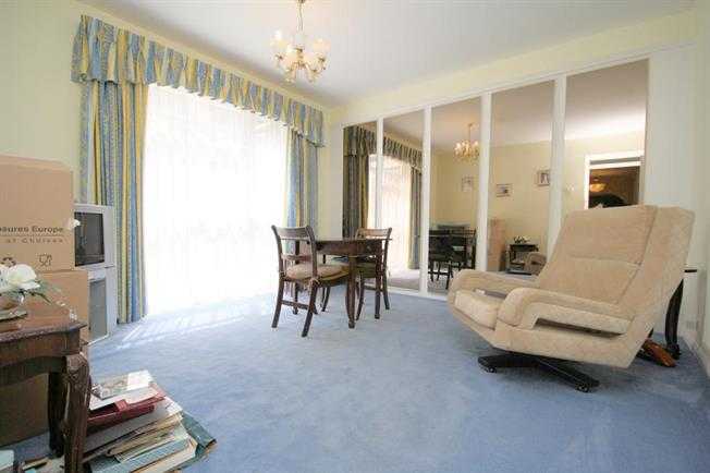 Warren Fields - Picture 5