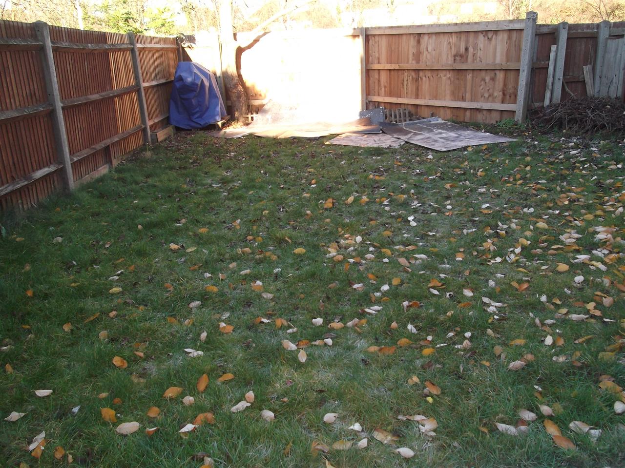 Magnolia Gardens - Picture 11