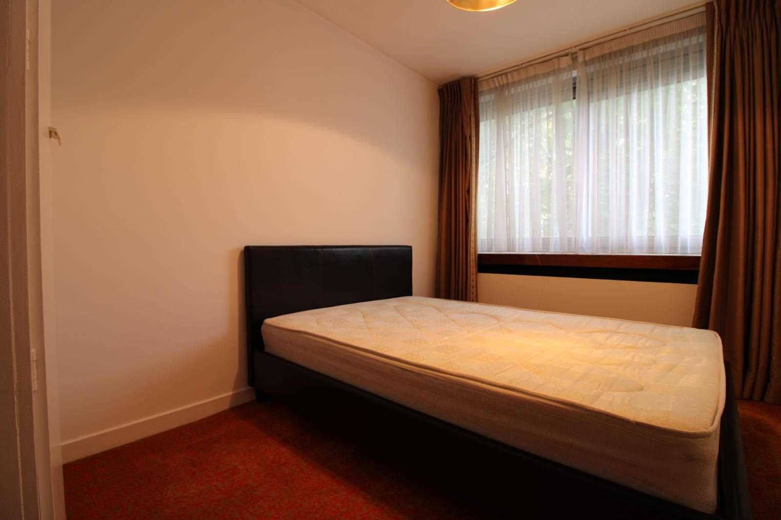 Barrie House - Picture 6