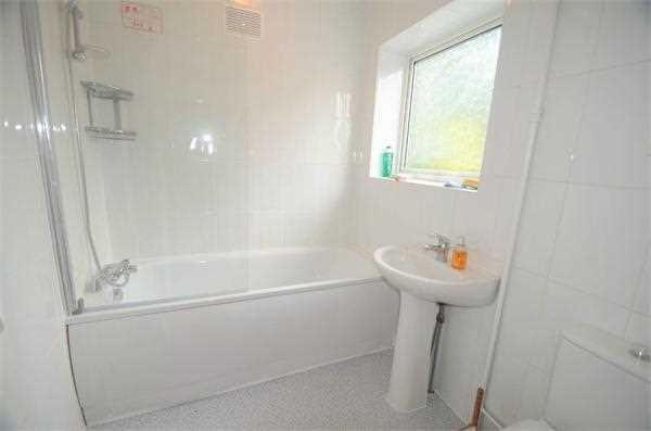 Mount Grove - Picture 8