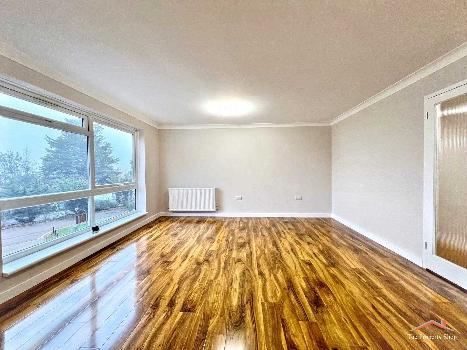 South Meadows Park Lane - Picture 2