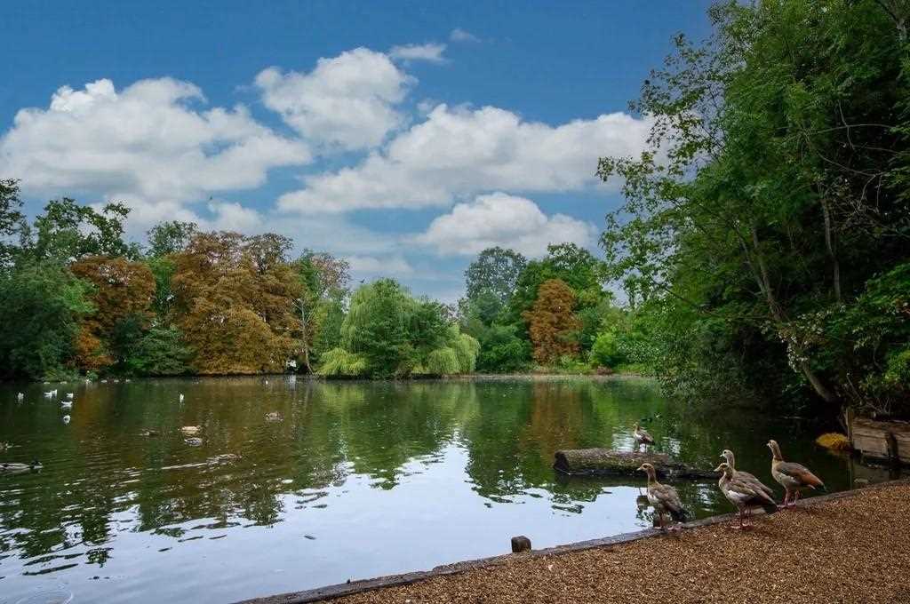 Canons Drive - Picture 18