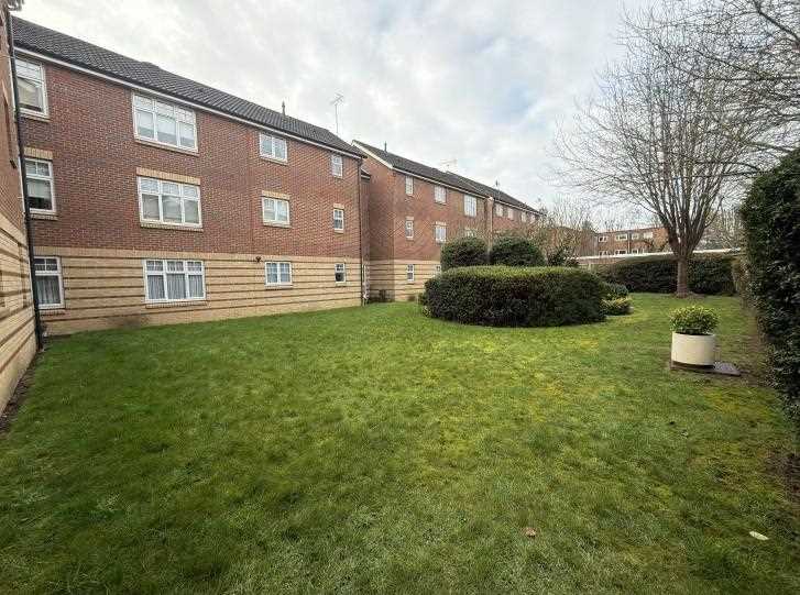 Grandfield Avenue - Picture 9