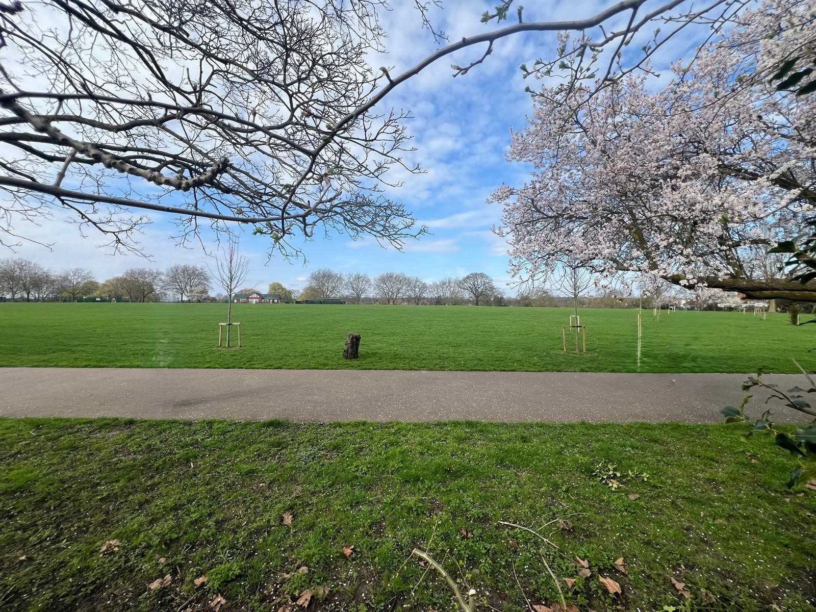 Camrose Avenue - Picture 10