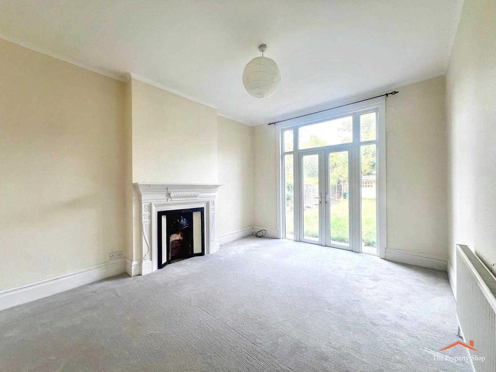 Olive Road - Picture 6