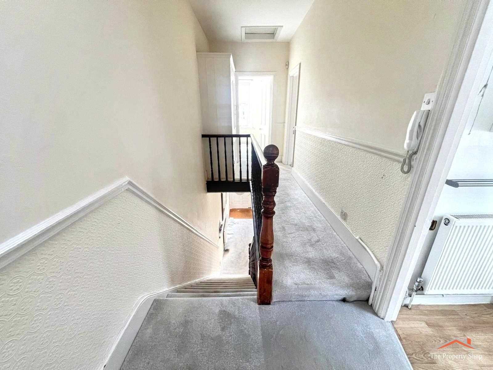 Olive Road - Picture 9